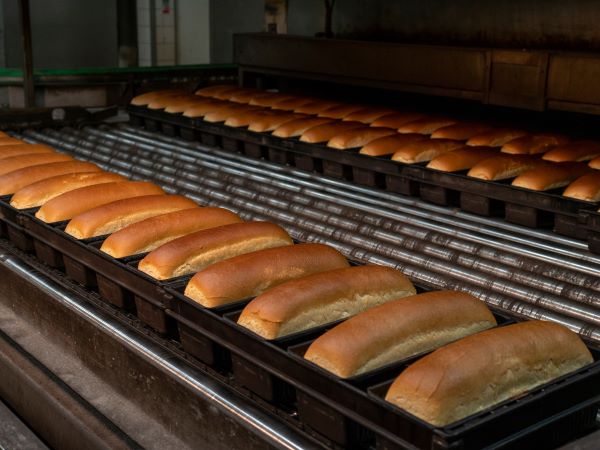 bread in industrial oven